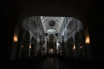 DSC_6341 (Large).JPG